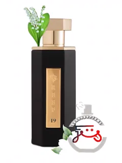 ریف ناین‌تین ريف پرفیومز | reef 19 reef perfumes